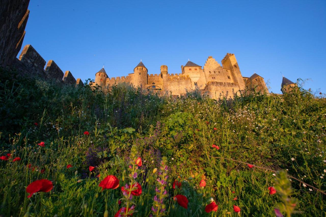 Tout Confort ! Climatisation, Centre-Ville, Parking, Terrasse, Wifi, Netflix Carcassonne Extérieur photo