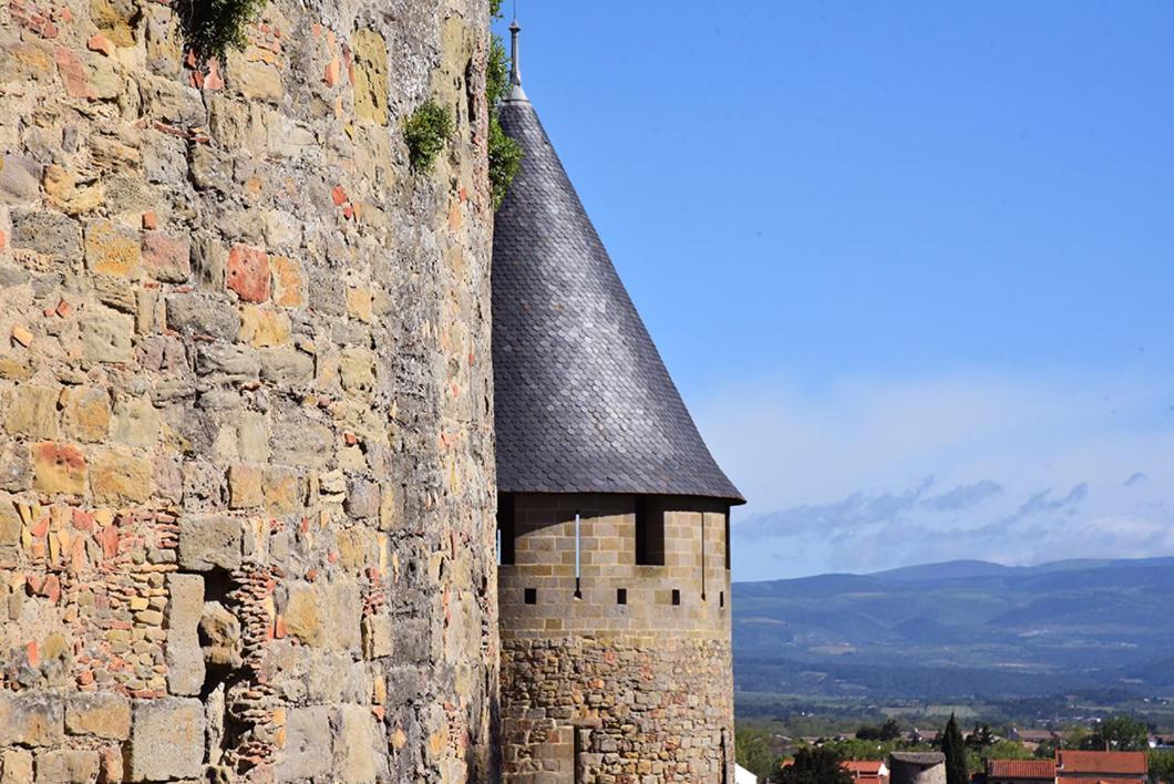 Tout Confort ! Climatisation, Centre-Ville, Parking, Terrasse, Wifi, Netflix Carcassonne Extérieur photo