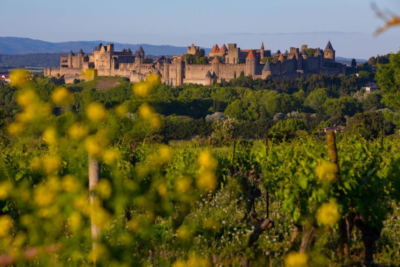 Tout Confort ! Climatisation, Centre-Ville, Parking, Terrasse, Wifi, Netflix Carcassonne Extérieur photo